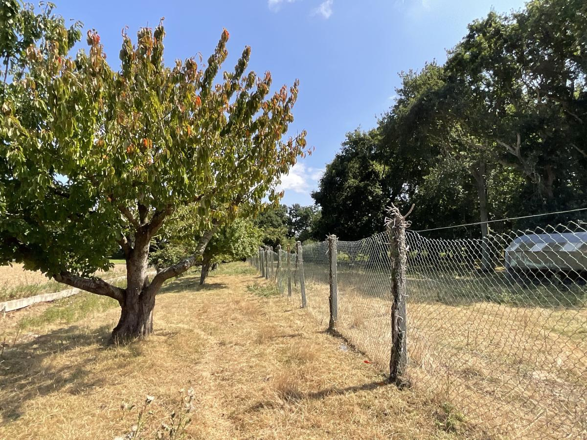 Vente Maison 7 Pièces 126.5 m² Erquy