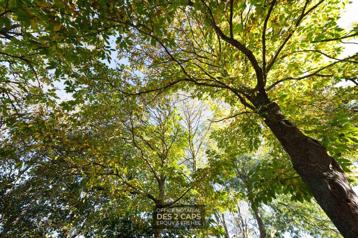 Vente Maison 144 m² Erquy