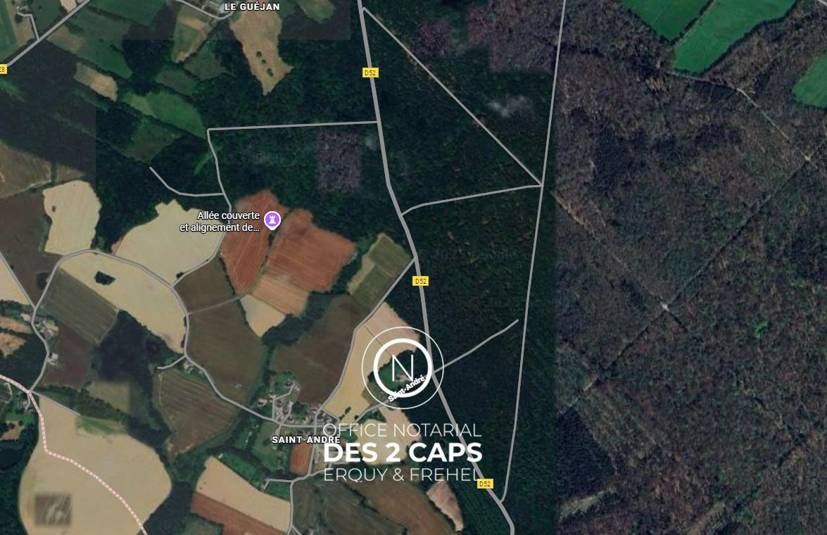 Vente Terrain 7.83&nbsp;ha Plédéliac